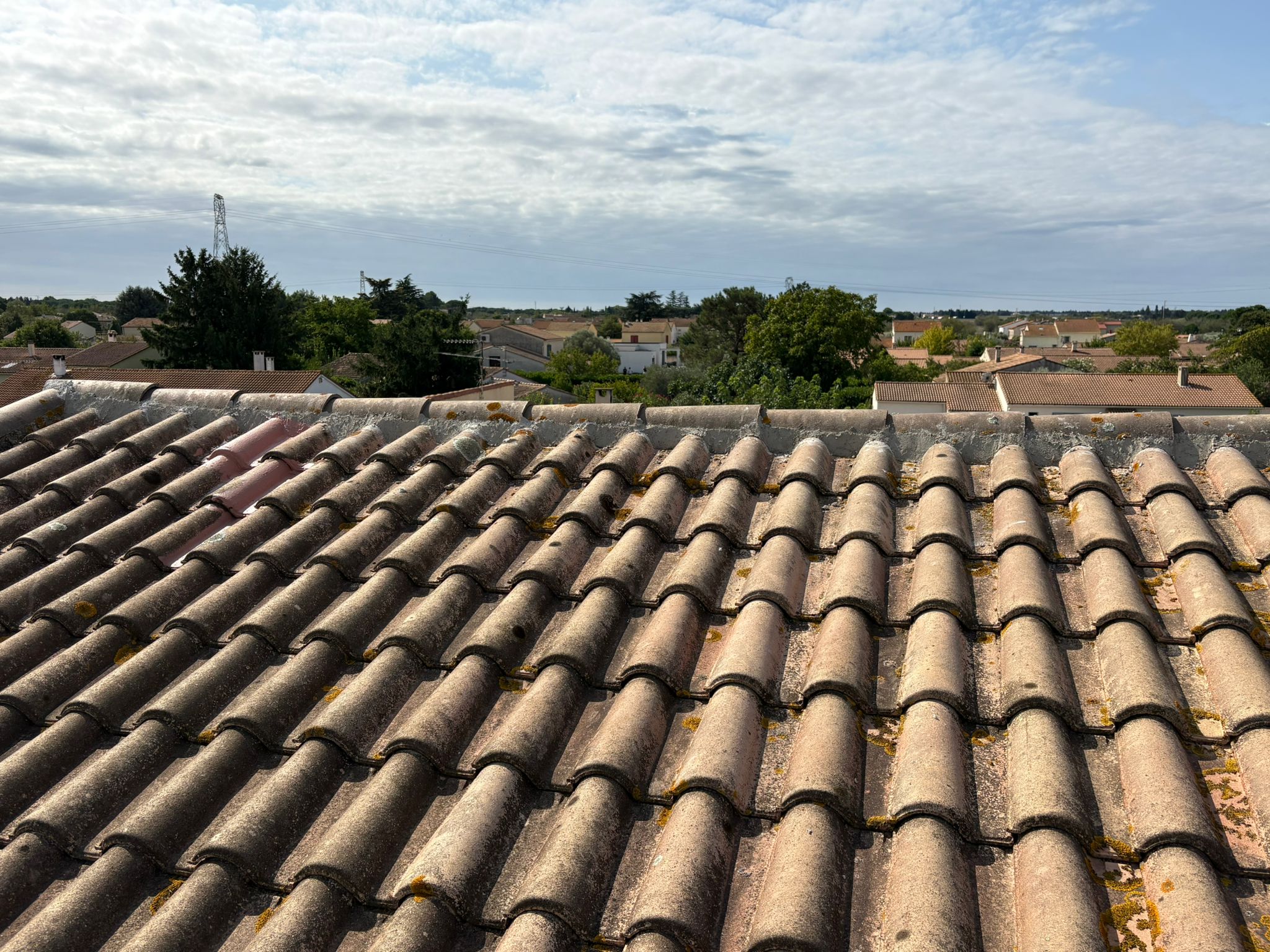 WhatsApp Image 2025-10-20 at 14.24.20 (1)