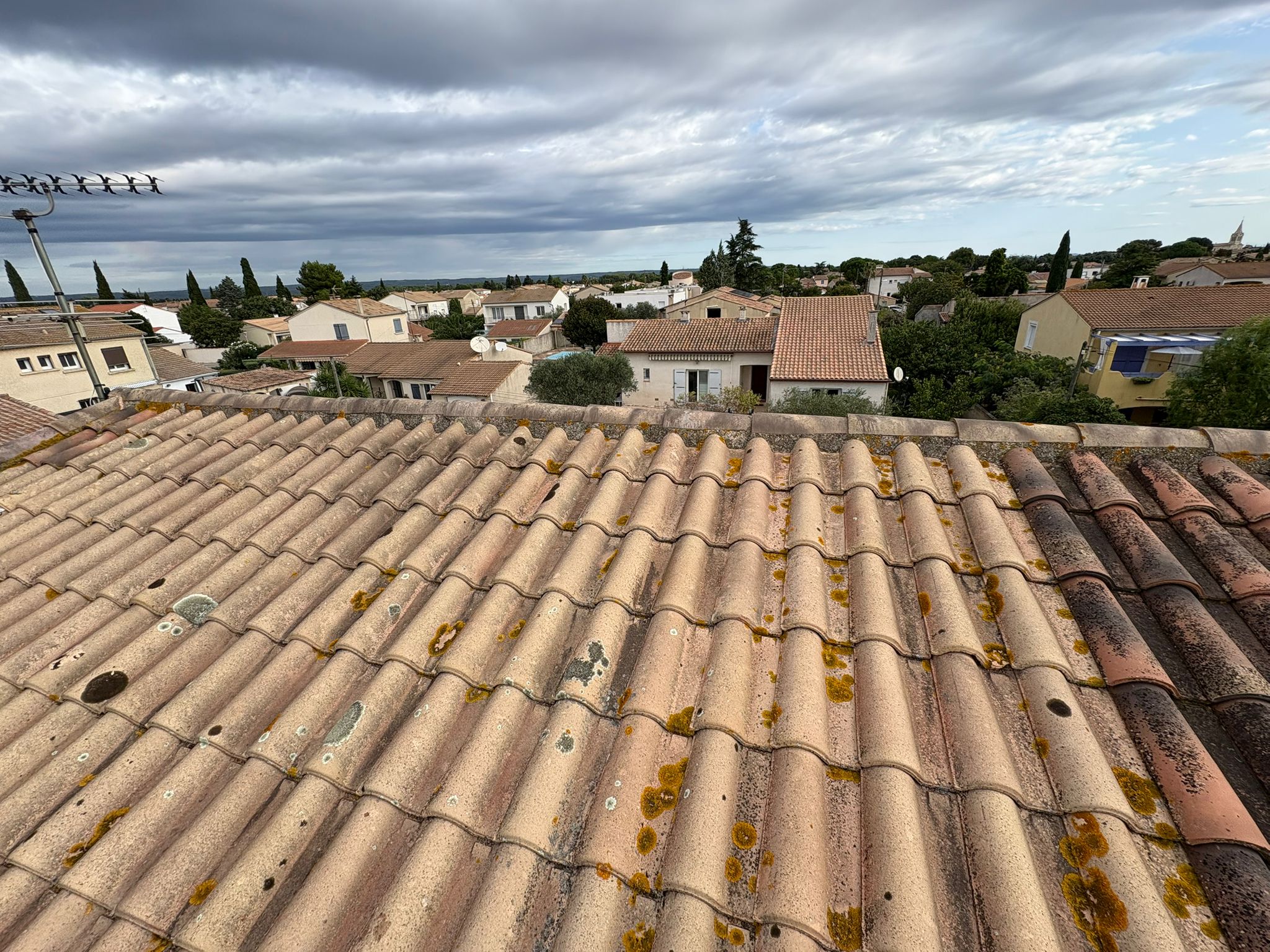 WhatsApp Image 2025-10-20 at 14.24.20 (2)