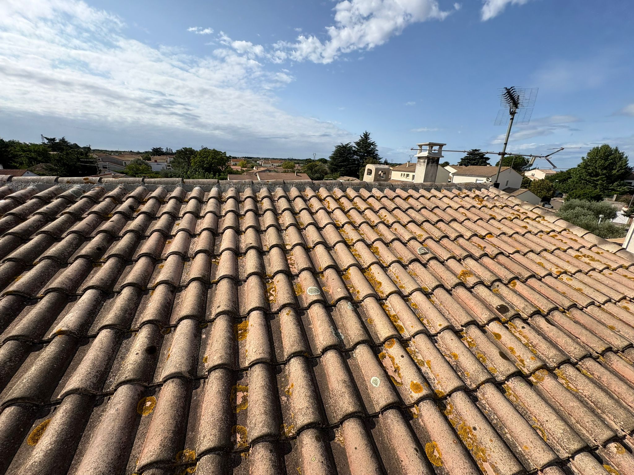 WhatsApp Image 2025-10-20 at 14.24.20 (3)