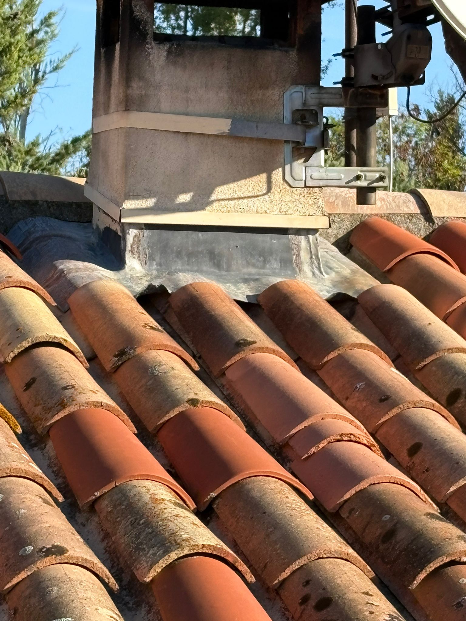 WhatsApp Image 2025-10-20 at 14.24.20